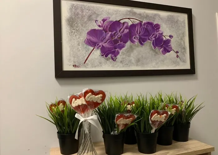 Discover Cracow Aparthostel קרקוב